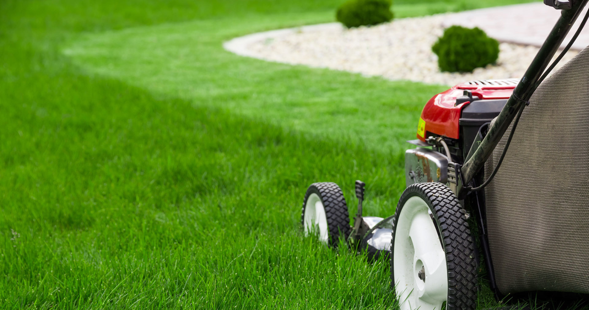 LAWN MOWER